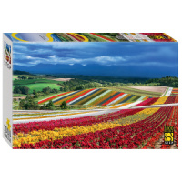 Пазлы 1000 элементов  680*480мм.  "Остров Хоккайдо, Япония"