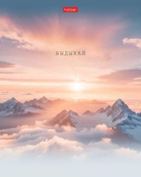 Тетрадь А5  96л кл. Hatber "В моменте" софт-тач, 5диз.в блоке