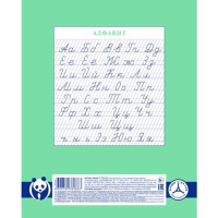 Тетрадь А5 12л косая лин. частая Hatber "Панда-Тетрадь"  (ПРОПИСЬ), белизна 98%