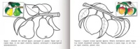 Раскраска А5  8стр. с наклейками "Фрукты"
