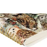 Ежедневник недат. B6 136л., кожзам, мягк.обл., гребень "Fauna. Волшебные совы" магнит.хлястик