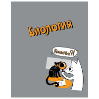 Комплект предметных тетрадей "Пёс и Кот" 10 шт в упаковке, 48л., металл, пантон, ВД лак, коробка