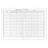 Классный журнал для  1-4 КЛАССОВ