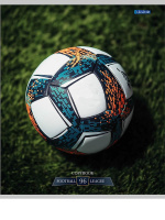 Тетрадь А5  96л кл. Проф-Пресс "Разные футбольные мячи -1" 4 диз.в коробе