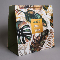 Пакет подар. бумажн. 47*47*25см, 230гр/м2  Общий