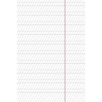 Тетрадь А5 12л косая лин. частая Hatber "Панда-Тетрадь"  (ПРОПИСЬ), белизна 98%