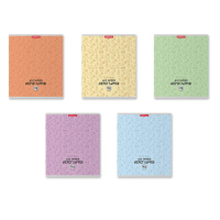 Тетрадь д/записи иероглифов А5+  48л, скоба "Китайская грамота" клетка