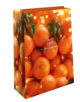 Пакет подар. бум. новогодн. 18*23*6см 157гр/м Мандарины