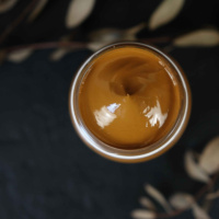 Краска акрил. "Акрил Арт", 20 мл, марс коричневый светлый