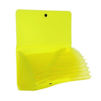 Папка 12 отд. на резин. Check size GLANCE NEON  ассорти