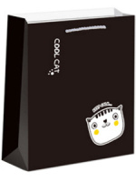 Пакет подар. бумажн. 31*42*12 см, 210 гр/м "Милый котик"