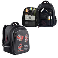 Рюкзак школьный 29*38,5*13,5см Феникс+ "Еноты на скейтах" полиэстер