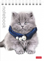 Блокнот А6  40л "Милые котята", гребень