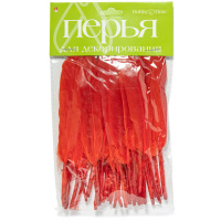 Набор Перья для декорирования №5 одноцветные, 6 видов