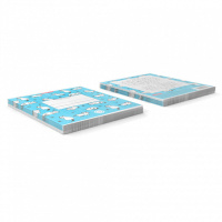 Тетрадь А5 12л лин.  "Cats", голубая