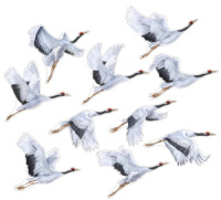 Комплект украшений на скотче "Журавли" 10 шт. 12*12см