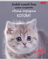 Тетрадь А5 40л кл. Hatber "Кот говорит!" белизна 98%
