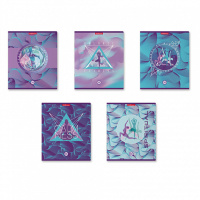 Тетрадь А5  96л кл. Erich Krause "Meditation" мат.ламинация