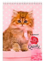 Блокнот А7  40л  "Пушистые котята" гребень