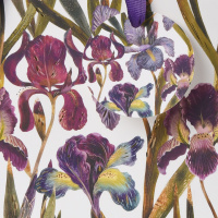Пакет подар. бумажн. 18*23*10 см 210гр/м2 Flora. Ирисы
