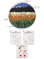 Набор  для вышивания гладью 27*35см "Поле с цветами"