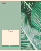 Тетрадь А5 24л кл. Hatber "Nature" 5 диз.в блоке, белизна 98%