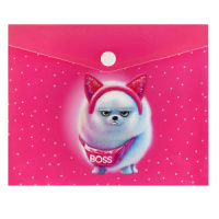 Конверт на кнопке  с рисунком А6 (170*140мм) Босс шпиц