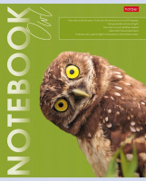 Тетрадь А5  80л кл. Hatber "Дикие и свободные" мат.лам., белизна 98%