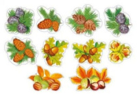 Комплект украшений на скотче "Дары леса" 10 шт. 12*12см