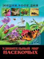 Книжка А4  32стр. "Энциклопедия. В мире знаний. Удивительный мир насекомых"