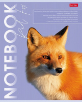 Тетрадь А5  80л кл. Hatber "Дикие и свободные" мат.лам., белизна 98%