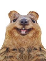 Игрушка антистресс 36см "Квокка"