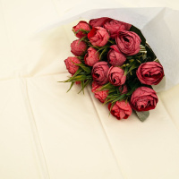 Бумага тишью 50*66см, 14гр/м2, Айвори, 10шт/уп