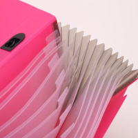 Папка 13 отд. на резин. А4 0,6мм ассорти