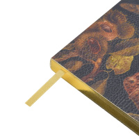 ЕЖЕДНЕВНИК А5 "Орехи"