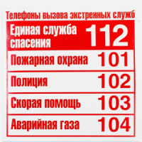 Наклейка информационная "Телефоны экстренной помощи " 10*10см