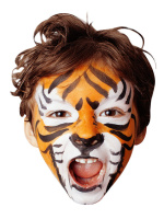 Набор для грима 6цв. краски, 1 мелок, спонж, аппликатор