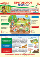Плакат 23*42см "Окружающий мир в начальной школе. Круговорот жизни"