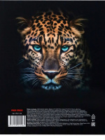 Папка на кольцах (без блока) А5 Проф-Пресс "Фотопортрет зверя" лам.картон