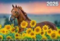Календарь Трио  310*680мм на 2026г.  Год Лошади. Вид 1