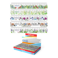 Линейка 20 см  ассорти из 5 дизайнов