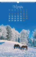 Календарь настенный перекидной РИГЕЛЬ  300*450мм на 2026г.  Дух свободы_Год лошади