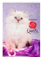 Блокнот А7  40л  "Пушистые котята" гребень