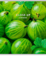 Тетрадь А5 48л кл. Проф-Пресс "Ягодные фото" белизна 100%