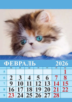 Календарь на магните отрывной  96*135мм на 2026г.  Котята
