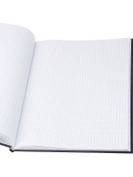 Книга учета кл. (200*298мм)  80л., обл.твердая, спец блок "Синяя"