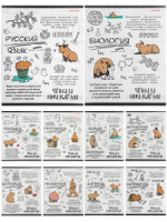 Комплект предметных тетрадей "Капибара" 10 шт в упаковке, лен, 48л., бел.100%