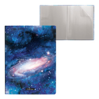 Папка файл А4  20лист 0.55мм Space