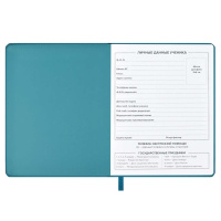 Дневник универсальн. обл.кожзам, тв.пер. "Котик" аппликация, ляссе, 48л.