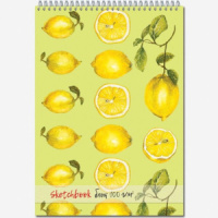 Скетчбук А4  40л. "Sketchbook" офсет 100г/м2, белизна 100%, гребень, жёсткая подложка